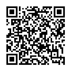 而苏凡此刻也是感觉自己承受了男子一拳的手臂一阵疼痛二维码生成