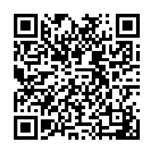 而苏凡的双腿更是在空中就朝着虎啸天的小腹踹去二维码生成