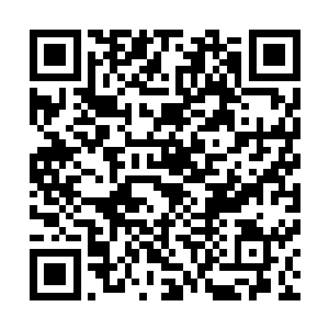 而苏凡的身子也是在一瞬间如同猎豹一般朝着男子冲了过去二维码生成