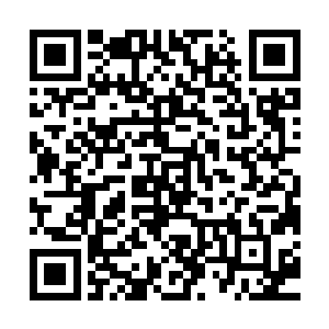 而苏凡的身子也是在这一踩的借力之下整个人在空中翻转了起来二维码生成