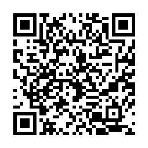 而苏凡知道的也就只有着黑暗教皇一个人有着这个本事而已二维码生成