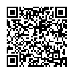 而苏凡等人也是在一旁聊了开来一时之间也是有说有笑的二维码生成