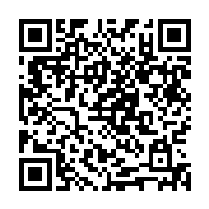 而苏凡自然才能够这些人的口中自然也知道紫龙的本性不坏二维码生成