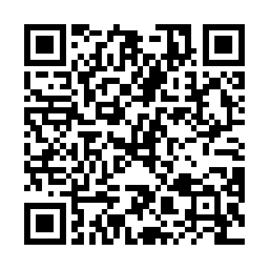 而苻敏儿这边却是觉得林封谨第二天必然要来找自己的二维码生成