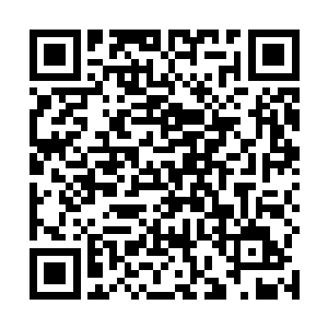 而范不命在一旁也沉凝的看着事情进入难以收拾的地步二维码生成