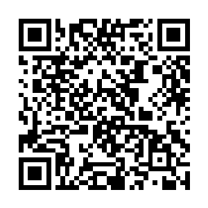 而荣耀至死从来都没有抵达过这片土地进行正式宣传二维码生成