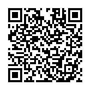 而药香铺这一片区域是唯一能够控制住这种平衡不崩溃二维码生成
