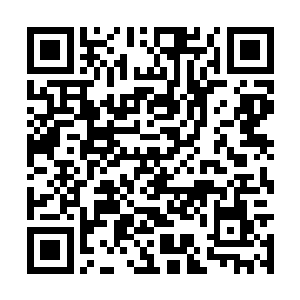 而莫风之所以看着一些战场上的人类惨死而不出手二维码生成