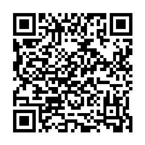 而董小忍亲生父母在君家门口大闹的新闻虽然没有播出来二维码生成