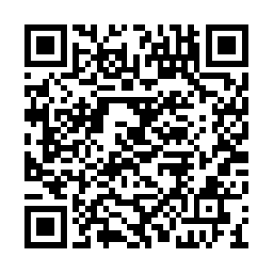 而蓝苒很快带我们去了门中接近后山的一处山地二维码生成