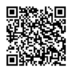 而蜂卫却处于保护蜂王的天生使命而对敌人进行攻击时二维码生成