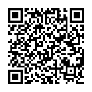 而血妖姬们没有任何停顿的就直接冲入了云兽被撕开的身体中二维码生成