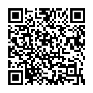 而血河之主的说话更是直指盲目崇拜的矛盾之处二维码生成