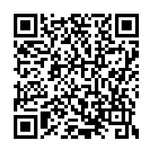 而血色荒原的强者大多都是单枪匹马――事实上二维码生成