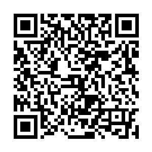 而血魔则靠着强悍的肉体对界主们的身体带去伤害二维码生成