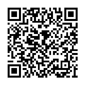 而血齿藤的利齿树叶开始切割两头大妖王的身体二维码生成