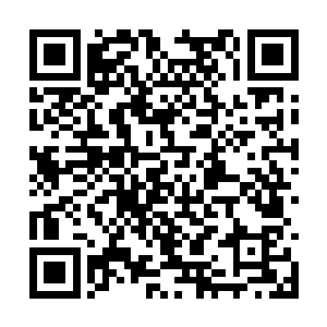 而衔尾蛇之环虽然开放了用魔石购买贡献点的通道二维码生成