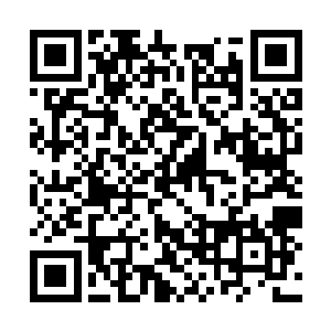 而袁和伟与杨婕妤虽然知道杨辰与杨烈并不大和睦二维码生成