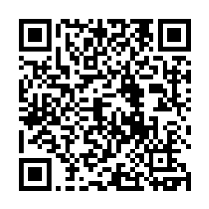 而袁振峰所在的袁家则在浙南是一个枝叶繁茂的大家族二维码生成