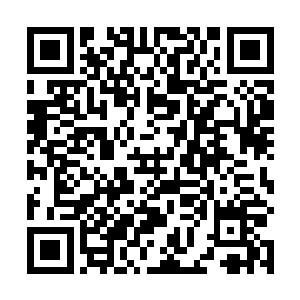 而被天道抱在怀里的小妖精此时也带着满足的迷人风情二维码生成