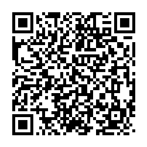 而被张东城炯炯的眼神注视下的蕾切尔仿佛回到了自己的中学时代二维码生成