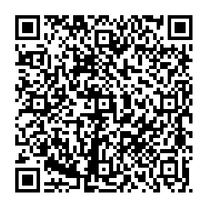 而被撵出呜格兰的这一大队金雕也就是因为在首都广场上清除示威暴乱人员动用了过激武力才落到这种地步的二维码生成
