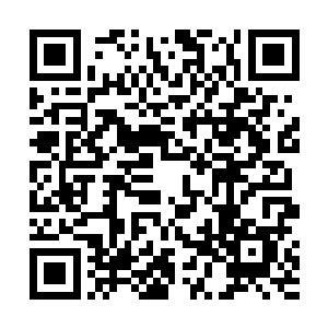 而裂空尊者以及巨象仙宗的另外几大老祖则是心中一紧二维码生成