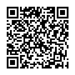 而西塔这两年的变化也更让她在局里的声音都要大了许多二维码生成