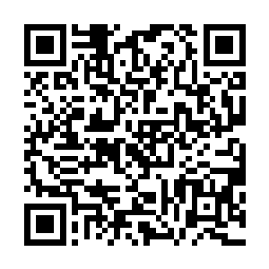 而观望已久的山田等人也终于是找到了时机和勇气走了过来二维码生成