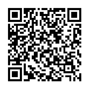而让幽魂兽也奇怪的是这弟子身上竟然也修炼了此术二维码生成