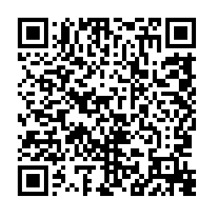 而让曾文选震惊的原因是秦宇竟然能够一眼就知道这是他们第一任族长之墓二维码生成