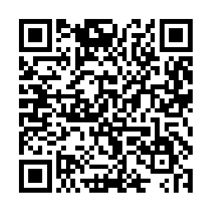 而许多已暗中投靠董卓的官吏武将却是暗暗庆幸不已二维码生成