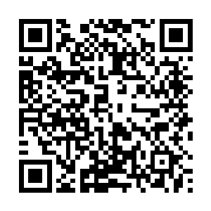 而许浩光夫妇似乎此时也意识到了许紫烟这次离开之后二维码生成