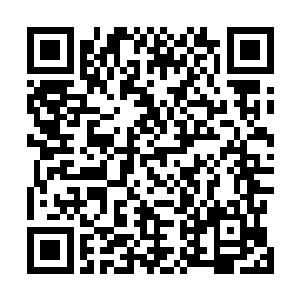 而许紫烟向着他这里飞来的消息早就回报到了许浩然那里二维码生成