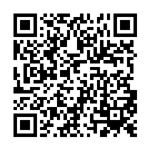 而许紫烟那平静的神态根本就没有丝毫的变化……二维码生成