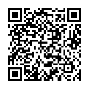 而许紫烟需要做的就是吸收天地元力将这些细胞变异的能量激活二维码生成