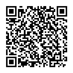 而评委们在水准拔高的情况下给出的分数或许会比他们的实际表现更低二维码生成
