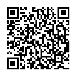 而谢氏生物的药物在抗肿瘤方面的成效让他们感觉到了危机二维码生成
