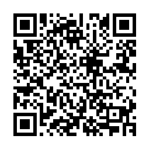 而贝克拉克则是悠闲地驱使着巨大的金色章鱼在战场边缘游弋二维码生成