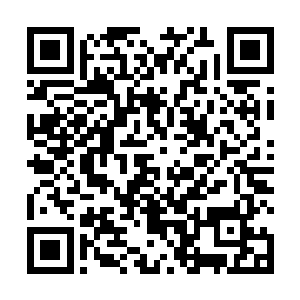 而贝尼特斯则迫不及待要和自己的球员们一起庆祝冠军二维码生成