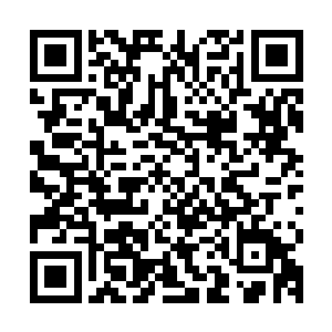 而贝鲁塞巴布的分身领域和雷林的领域一触碰立即就开始了溃散二维码生成