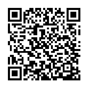 而负责开车的兄弟对发生在两侧的战斗充耳不闻二维码生成