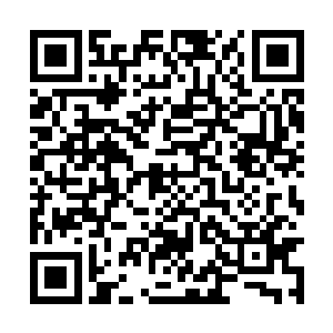 而负责采访的莉莉正和办公桌另一边的副主任布朗二维码生成