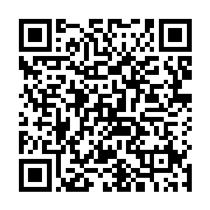 而贺建国就是罗伯特当年发现的那种特殊基因的携带者二维码生成