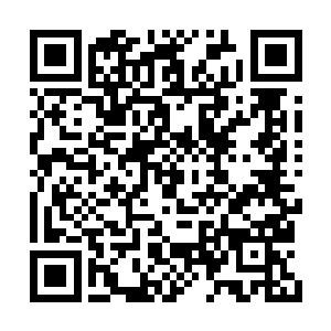 而贺翠蓉则宛如是被踩住了痛脚一般猛跳了起来二维码生成