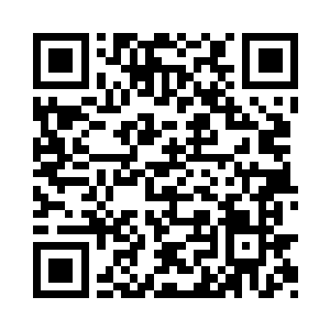 而赛琳娜也不得不接受这个遗憾的事实了――二维码生成