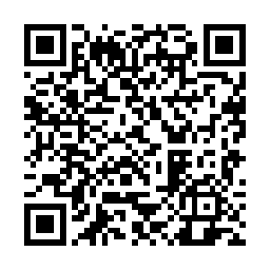 而赫伯特家真正的继承人却要背负着污名被扫地出门二维码生成