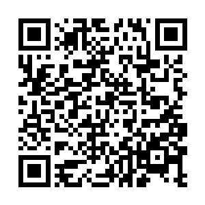 而赫内斯也从商业开发的角度同意了央视的拍摄计划二维码生成