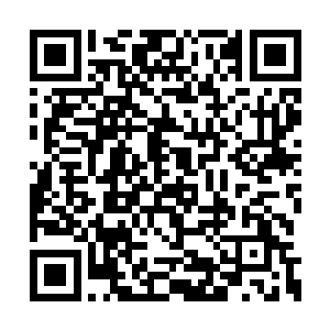而赵天龙在皮克王国民众的心中地位是非常高的二维码生成