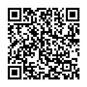 而赵纯良拳头上的气也在一瞬间和气墙一样消散二维码生成